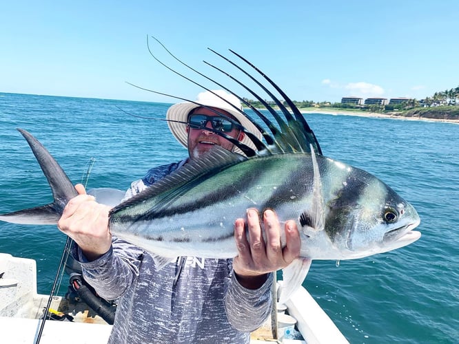 Explosive Inshore - 26’ Super Panga In Punta Mita