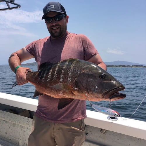 Explosive Inshore - 26’ Super Panga In Punta Mita