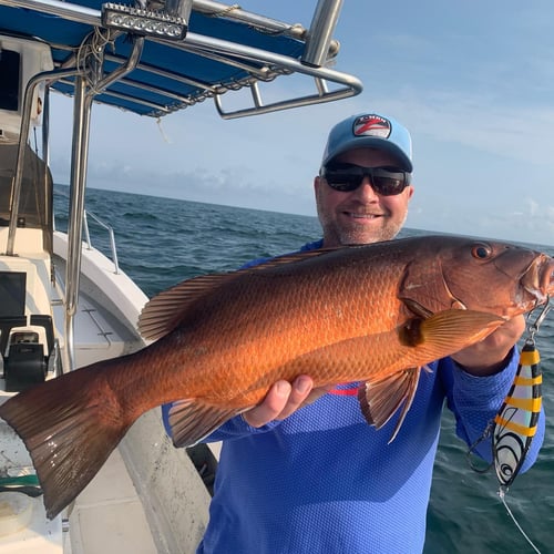 Explosive Inshore - 26’ Super Panga In Punta Mita