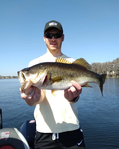 South Florida Bass Fishing In Windermere