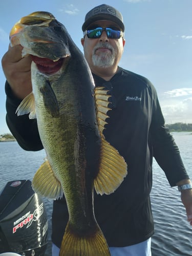 South Florida Bass Fishing In Windermere