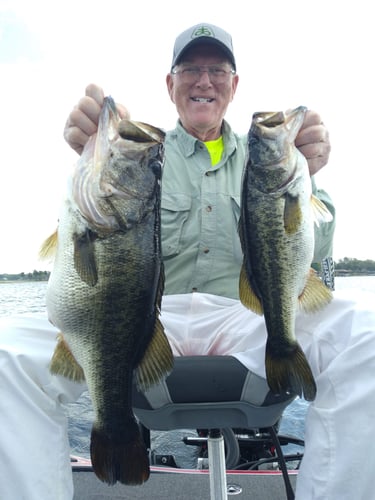 South Florida Bass Fishing In Windermere