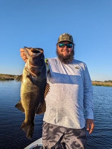 South Florida Bass Fishing In Windermere