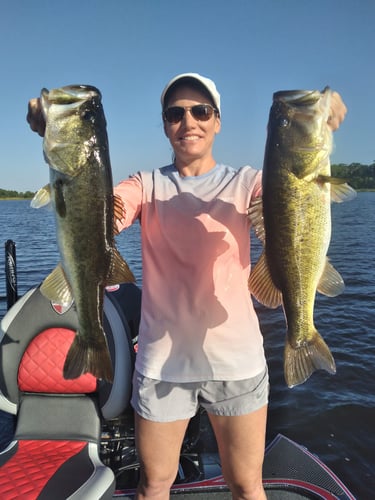 South Florida Bass Fishing In Windermere