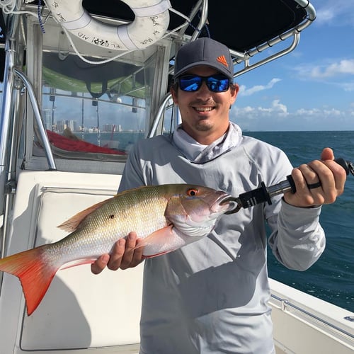 Offshore Reefs And More In Miami Beach