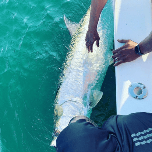 Summer Tarpon Special In Placida