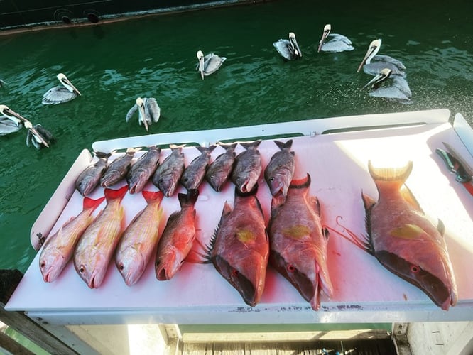 Clearwater Nearshore Hop - 22' Dusky in Clearwater