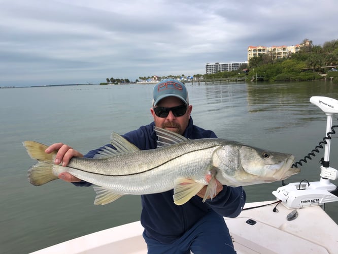 Clearwater Nearshore Hop - 22’ Dusky In Clearwater