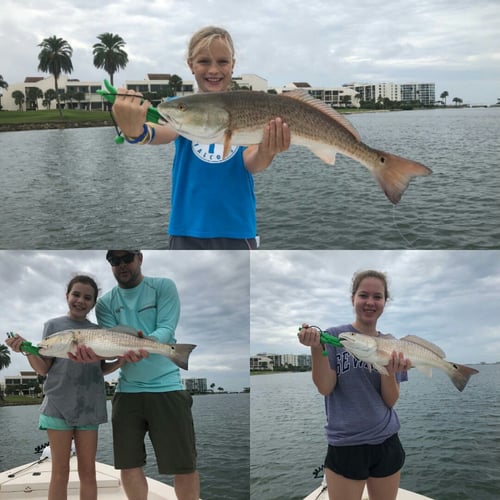 Clearwater Nearshore Hop - 22' Dusky in Clearwater