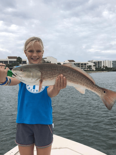 Clearwater Nearshore Hop - 22’ Dusky In Clearwater