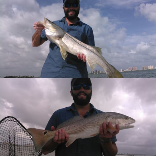 Clearwater Nearshore Hop - 22' Dusky in Clearwater