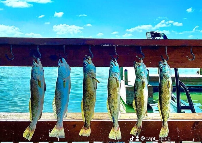 Laguna Madre Inshore Fishing -Full Day In Corpus Christi