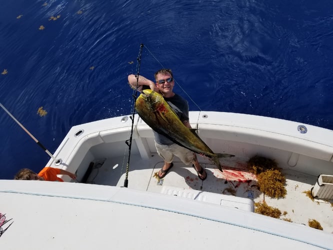 Offshore Tuna Trip In Grand Isle