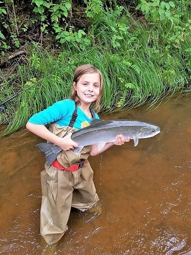 Stream Fishing Trip In Brule