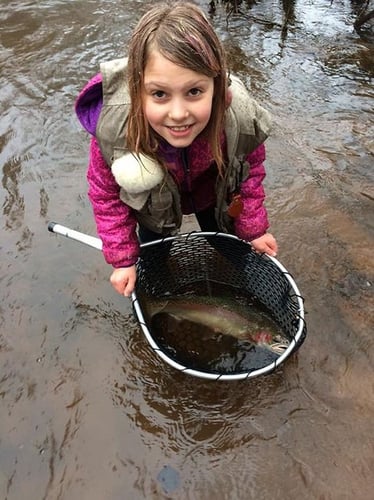 Stream Fishing Trip In Brule