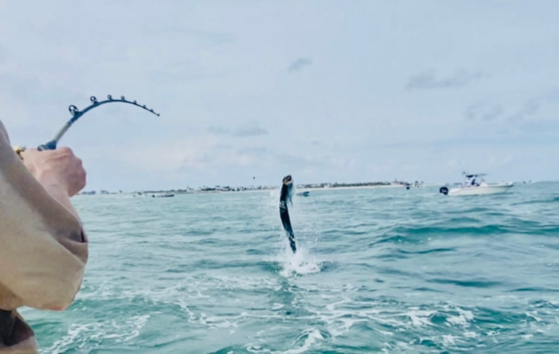 Boca Grande Trophy Tarpon Fishing - 95% Success In Boca Grande