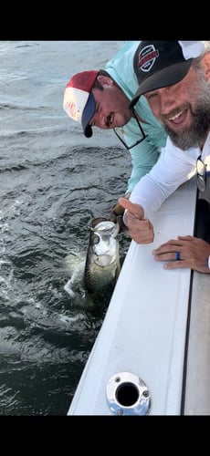 Boca Grande Trophy Tarpon Fishing - 95% Success In Boca Grande