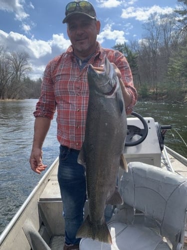 Lake Michigan Salmon Special In Grand Rapids