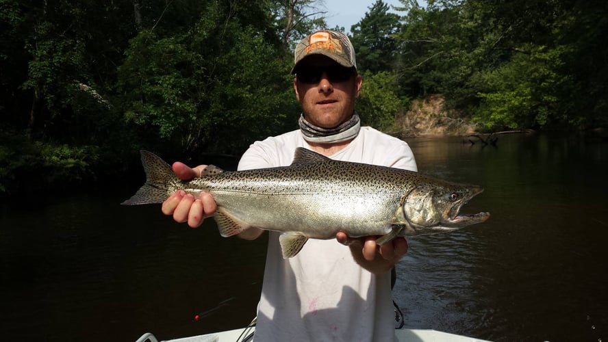 Lake Michigan Salmon Special In Grand Rapids