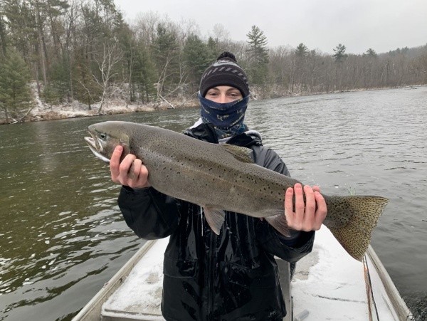 Lake Michigan Salmon Special In Grand Rapids