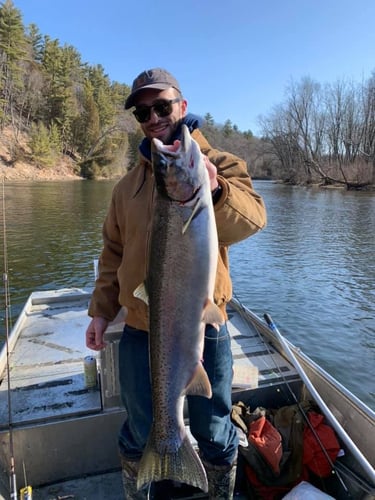 Lake Michigan Salmon Special In Grand Rapids
