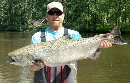 Lake Michigan Salmon Special In Grand Rapids