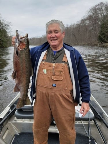 Lake Michigan Salmon Special In Grand Rapids