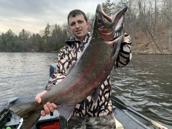 Lake Michigan Salmon Special In Grand Rapids
