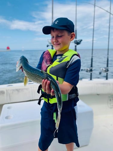 Lake Michigan Trout & Salmon In Grand Haven