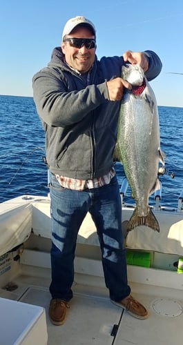 Lake Michigan Trout & Salmon In Grand Haven