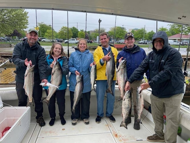 Lake Michigan Trout & Salmon In Grand Haven