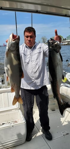Lake Michigan Trout & Salmon in Grand Haven
