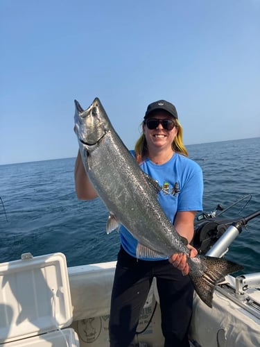 Lake Michigan Trout & Salmon In Grand Haven