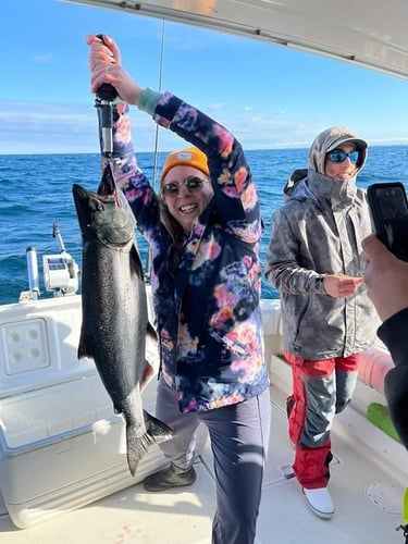 Lake Michigan Trout & Salmon In Grand Haven