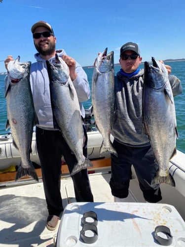 Lake Michigan Salmon and Trout Trip in Holland