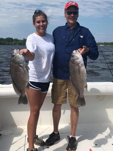 Lake Macatawa Trophy Sheepshead In Holland