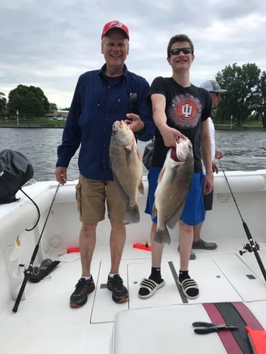 Lake Macatawa Trophy Sheepshead In Holland