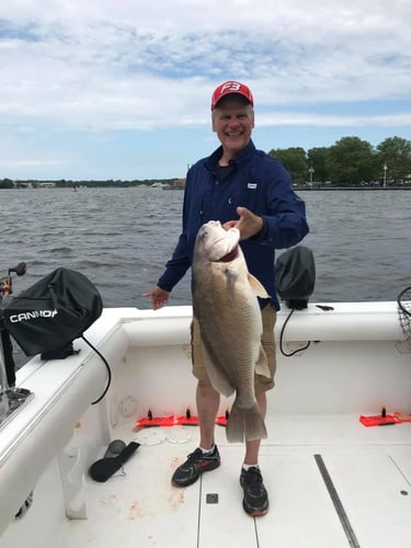 Lake Macatawa Sheepshead Trip in Holland