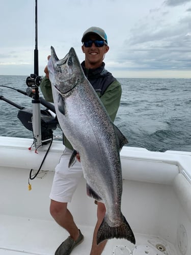 Epic Salmon and Trout on Lake Michigan - 30' Baha Cruiser
