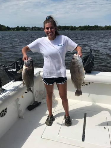 Lake Macatawa Trophy Sheepshead In Holland