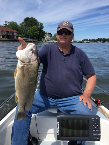 Lake Macatawa Sheepshead Trip in Holland