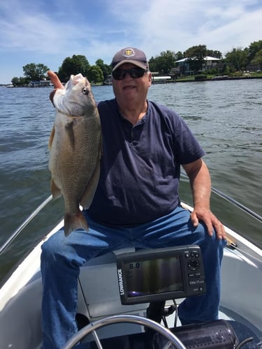 Lake Macatawa Sheepshead Trip in Holland