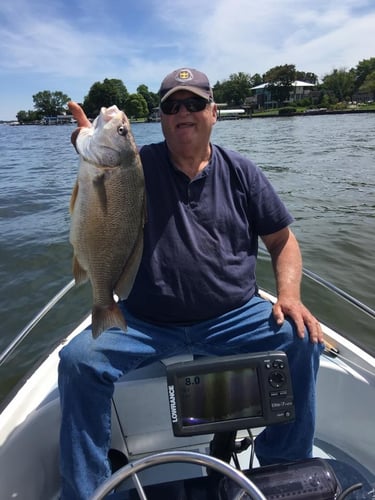 Lake Macatawa Sheepshead Trip In Holland