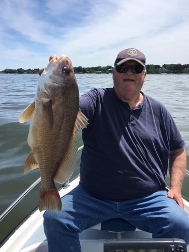Lake Macatawa Sheepshead Trip in Holland