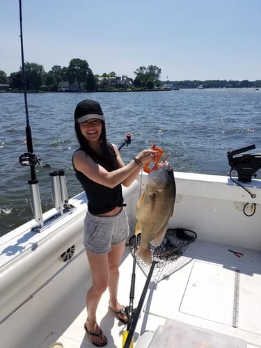 Lake Macatawa Trophy Sheepshead in Holland