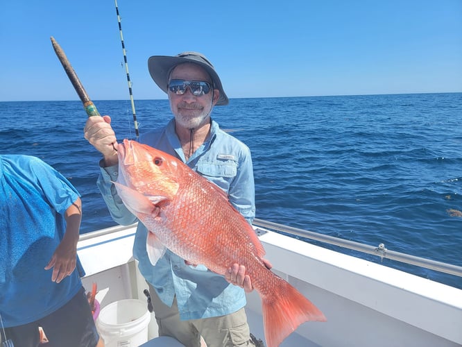 Gulf Breeze Mixed Bag In Gulf Breeze