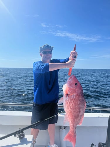 Gulf Breeze Mixed Bag In Gulf Breeze