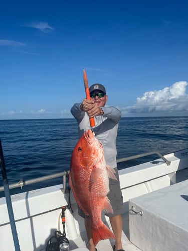 Gulf Breeze Mixed Bag In Gulf Breeze