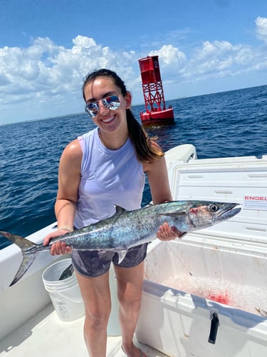 Gulf Breeze Mixed Bag In Gulf Breeze