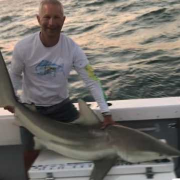 Shark Encounter - 28' In Tierra Verde